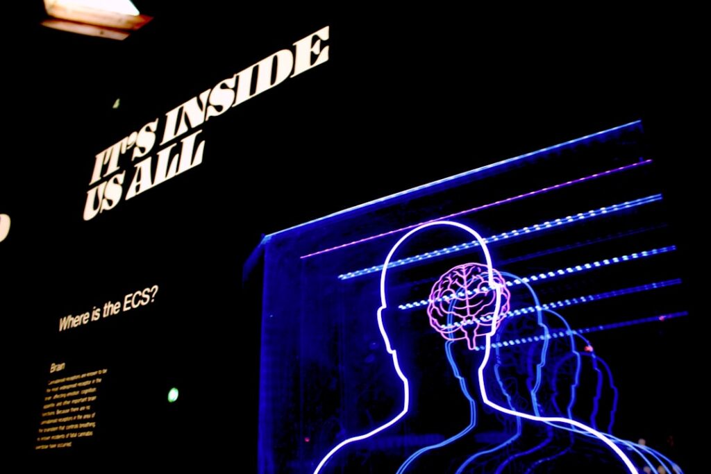 When Clarity Undermines Confidence: How Explainable AI Reshapes Consumer Trust and Institutional Power