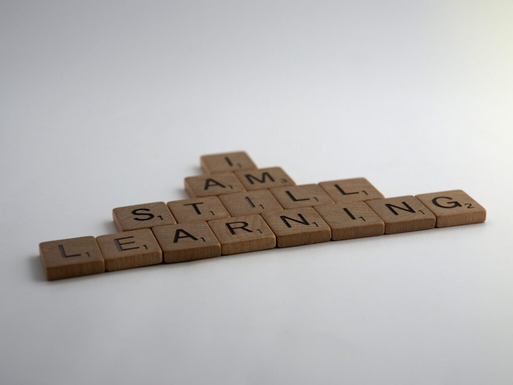 When Jobs Rewrite Themselves Every 18 Months: Institutional Pathways to Sustainable Skill Capital