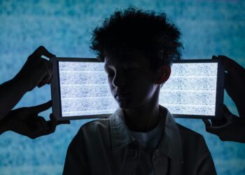 When the Self Splits: Institutional Fallout of Virtual Identity Fragmentation
