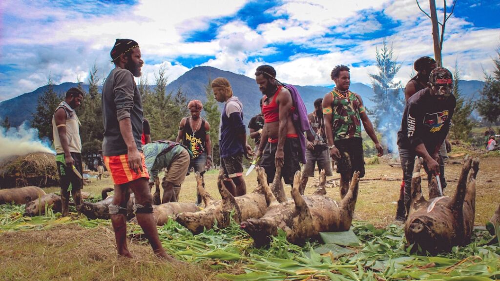 Wildlife Conservators as Cultural Architects: How Human‑Wildlife Coexistence Is Redefining Global Narrative and Career Capital