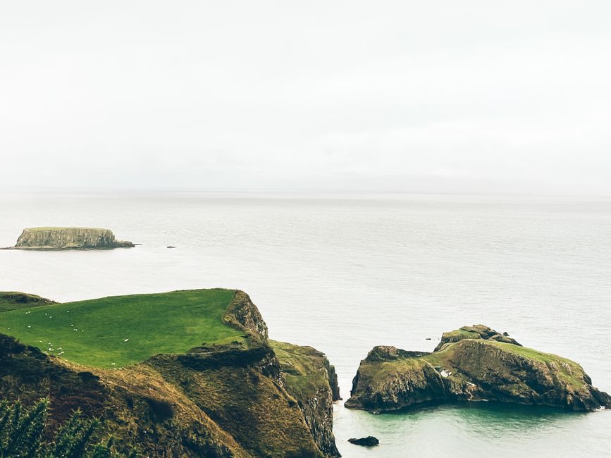 Brexit's Trade Impact on Northern Ireland's Economy