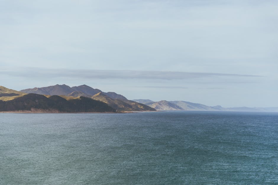 China, New Zealand Boost Trade Ties Amid Opportunities