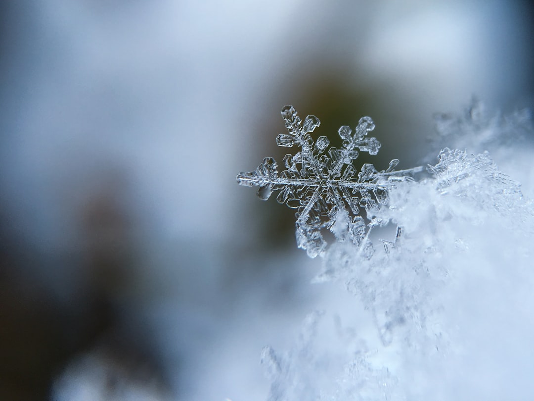 Anthropic, Snowflake Strengthen Enterprise AI Partnership