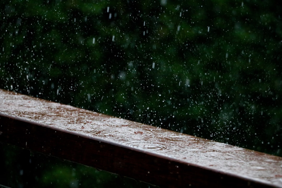 Monsoon Risks Drive Trends for Young Investors