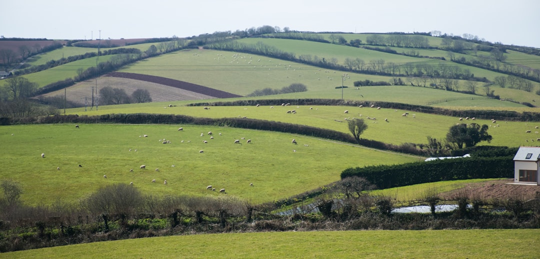 Farmers in England Use Prediction Tool to Reduce Pesticide Use