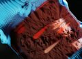 AI Erodes Human Autonomy
