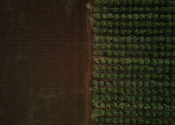 Berlin Ag‑Tech Startup Seqana Raises €3.2 Million Seed Funding for Soil‑Health Platform