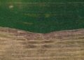 Berlin‑Based AgTech Startup Seqana Secures €3.2 Million Seed Funding to Expand Soil‑Health Platform