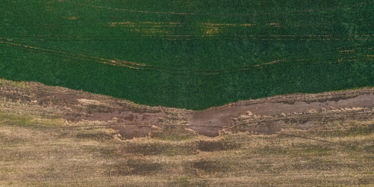 Berlin‑Based AgTech Startup Seqana Secures €3.2 Million Seed Funding to Expand Soil‑Health Platform
