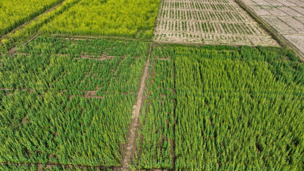 Berlin‑Based AgTech Startup Seqana Secures €3.2 Million Seed Funding to Expand Soil‑Health Platform