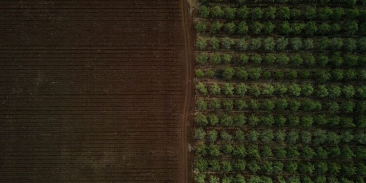 Berlin‑Based AgTech Startup Seqana Secures €3.2 Million to Advance Soil‑Health Quantification Platform