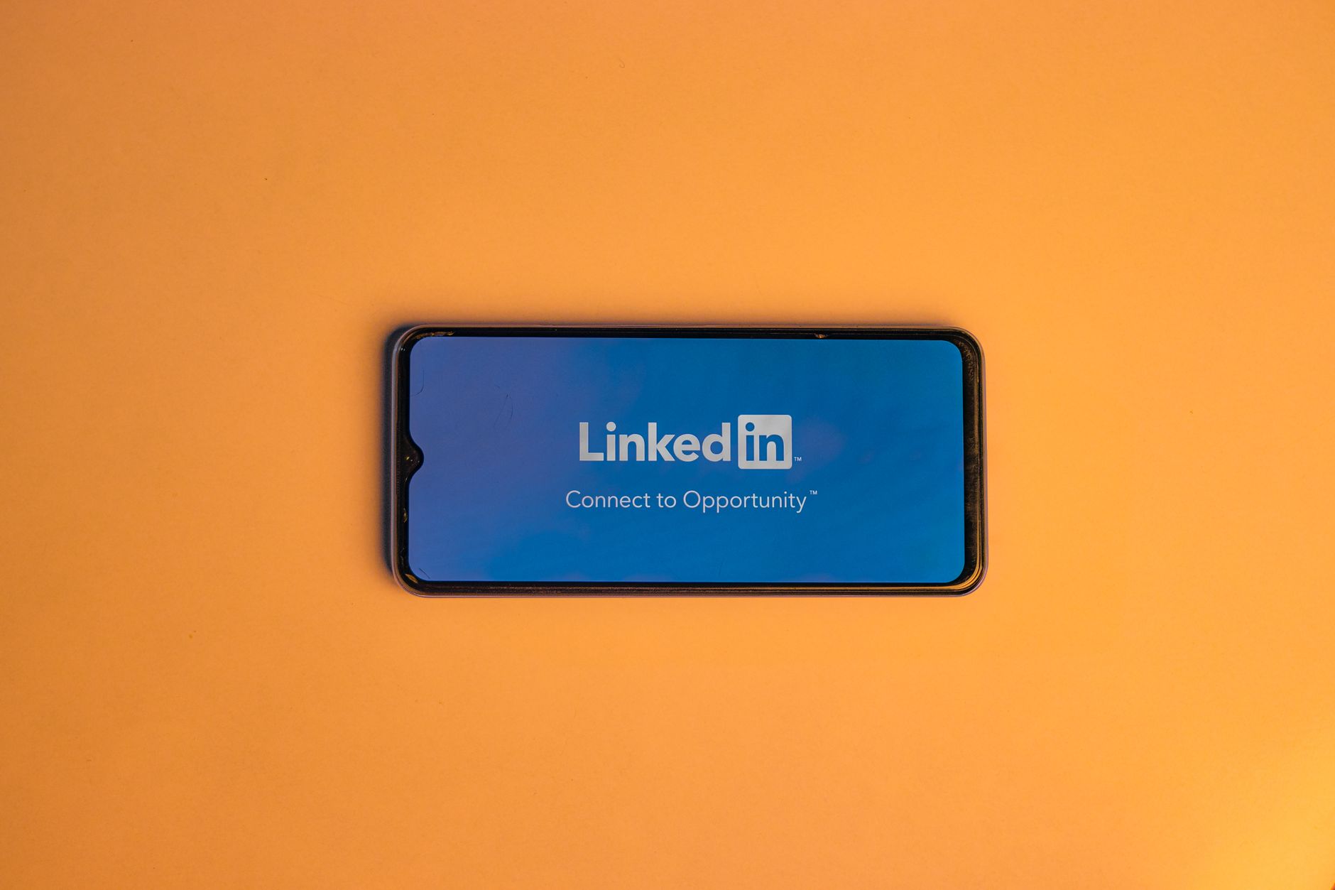 Beyond LinkedIn: How Alternative Professional Networks Are Redefining Career Capital