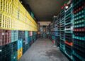 Cargofy Secures €9.5 Million Series A to Deploy AI “Digital Workers” Across Freight Operations