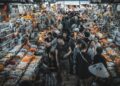 Cultural Shifts Redefine Information Landscape