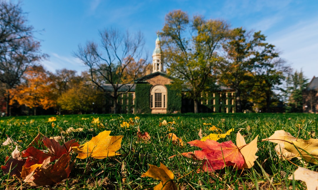 Ivy League Degree Fails to Secure Internship