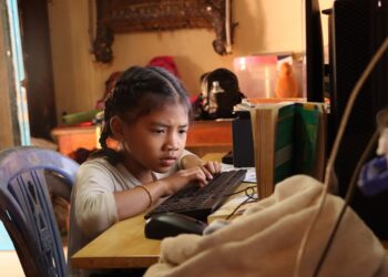 Digital Literacy as a Core Component of Sustainable Development in Emerging Markets