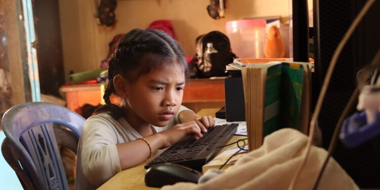 Digital Literacy as a Core Component of Sustainable Development in Emerging Markets