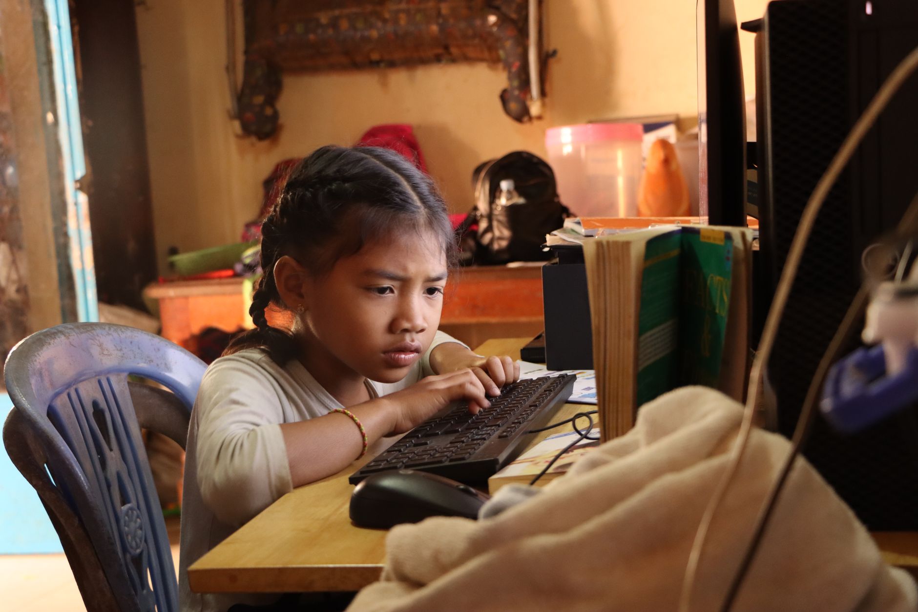 Digital Literacy as a Core Component of Sustainable Development in Emerging Markets