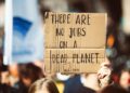 Environmental activism elevates career capital in post‑net‑zero economy