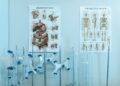 European Venture Capital Surge Targets HealthTech and MedTech in 2026