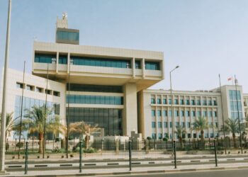 Hidden costs undermine e‑governance in developing nations