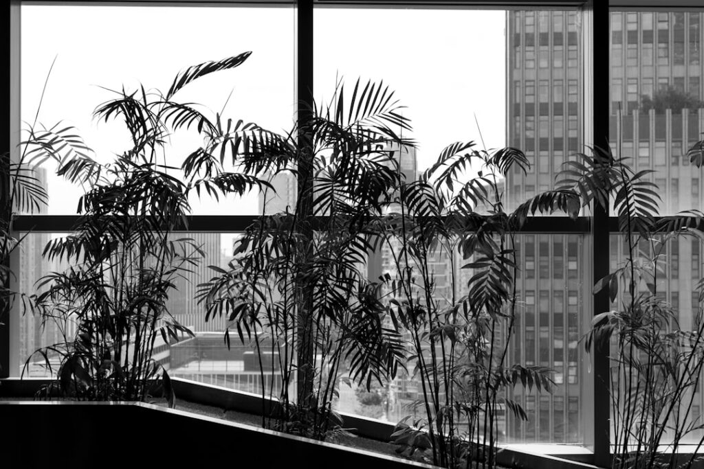 In‑office plant diversity drives measurable DEI returns