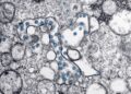 Medical Journals Retract Multiple Oncology Studies Amid Peer‑Review and Image‑Falsification Concerns