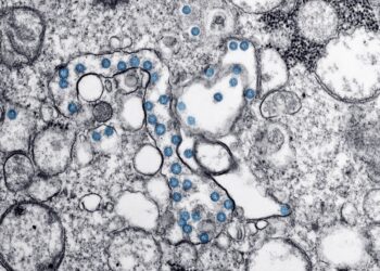 Medical Journals Retract Multiple Oncology Studies Amid Peer‑Review and Image‑Falsification Concerns