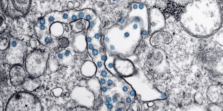 Medical Journals Retract Multiple Oncology Studies Amid Peer‑Review and Image‑Falsification Concerns