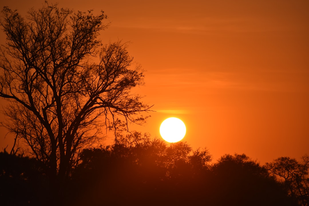 Botswana Solar Plant Fuels Renewable Energy Careers