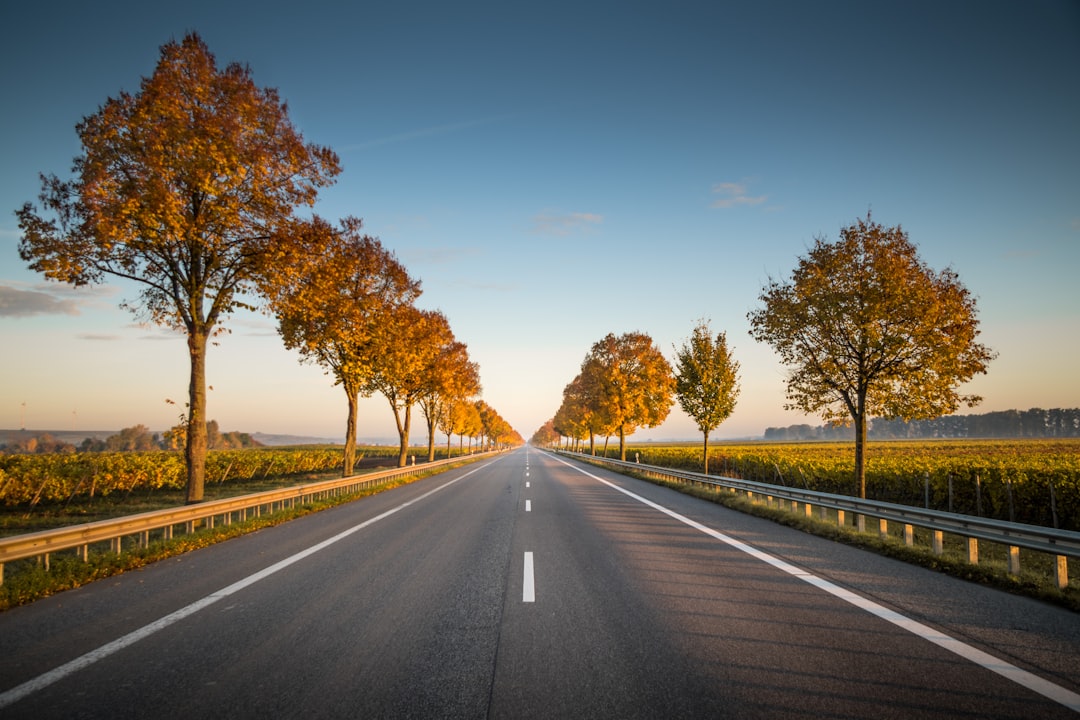 SEBI Eases NDCF Rules for Road InvITs' Maintenance Loans