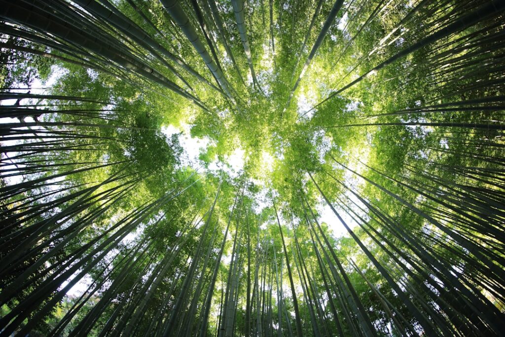 Sustainable Careers Redefine Corporate Growth Paths