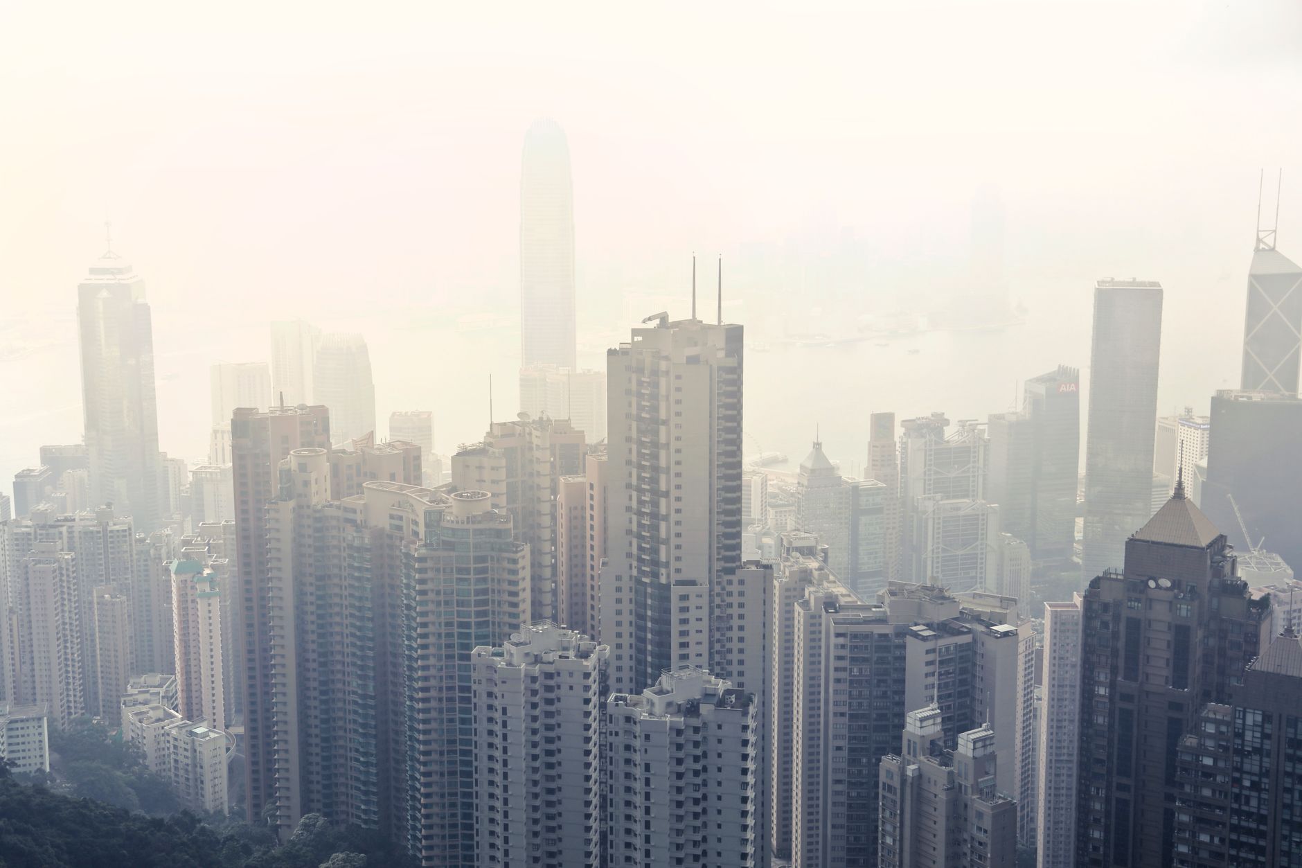 Talent islands reshape global economic landscape
