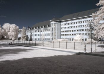 Trump Administration Proposes Transfer of Special Education Oversight to Health Department