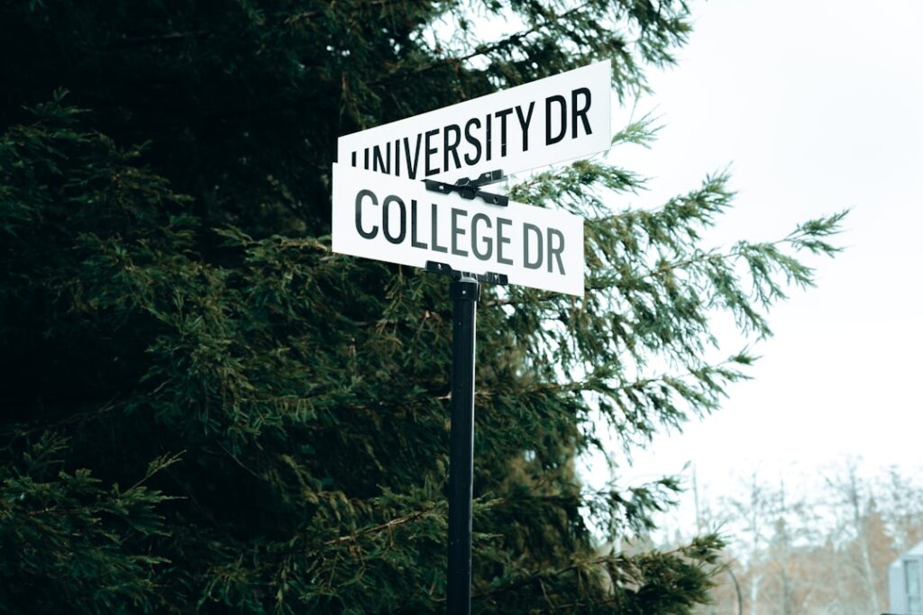 University rankings reshape student career trajectories