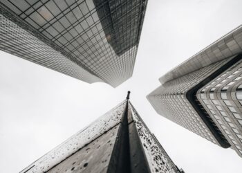 Why seed investors are the hidden growth engine for early startups