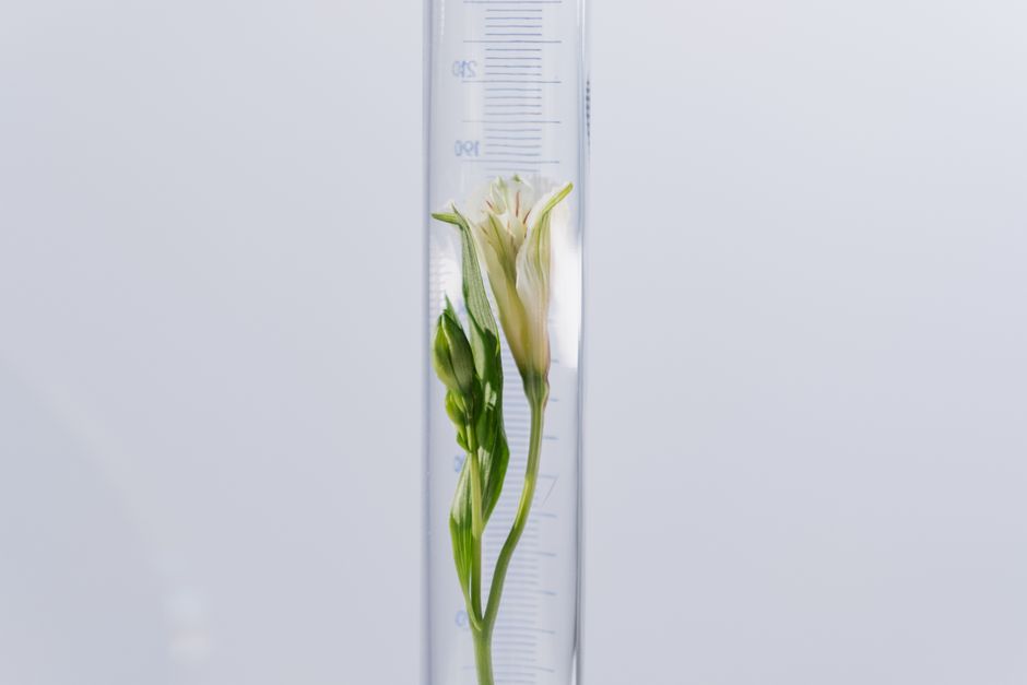 Laurus Lab’s Q1 Profit Surges on CDMO Growth