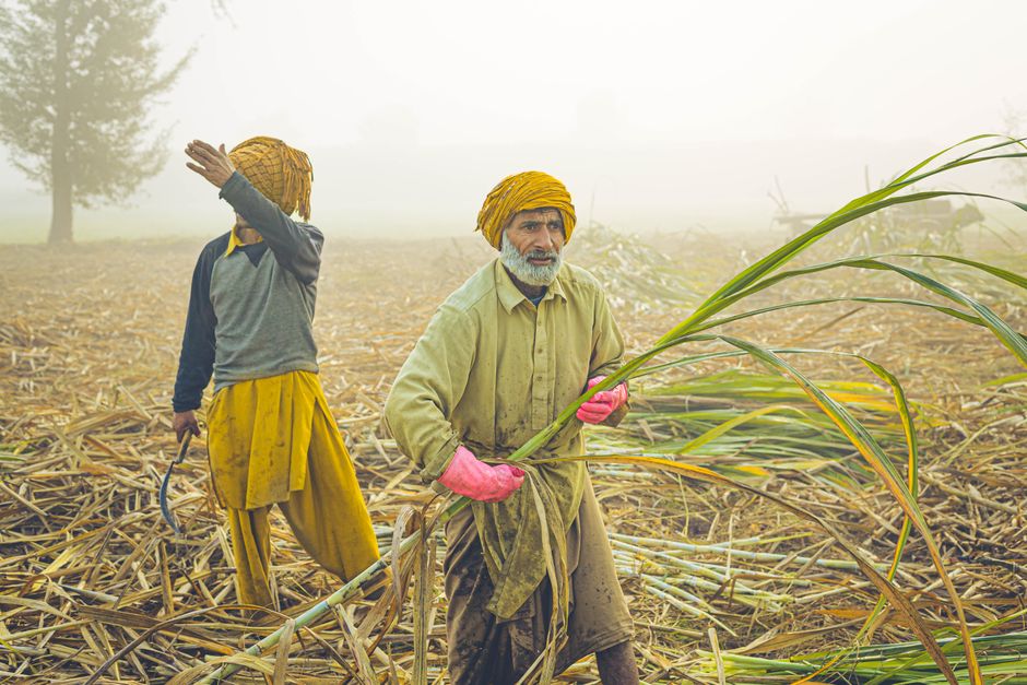 Farmers Claim Betrayal from Trump Administration