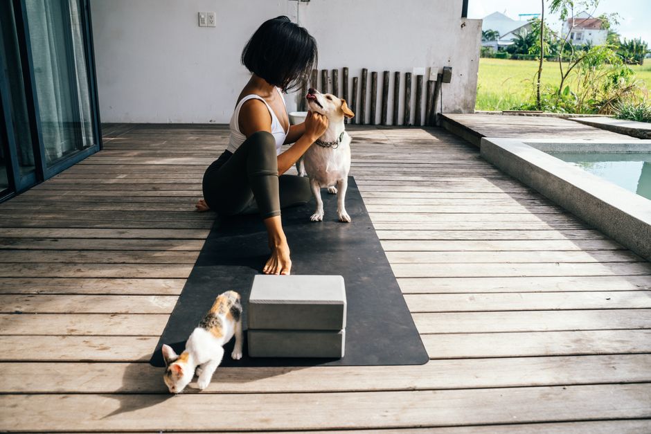 Pet wellness becomes underlying theme as industry grows steady