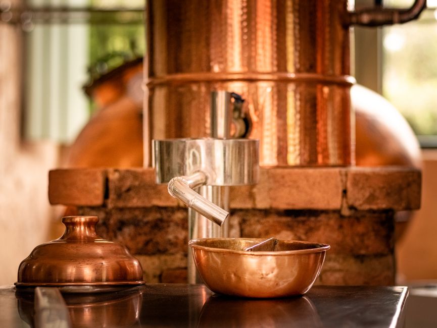 Why A.I. Distillation Has Become a Hot Topic in the Race with China