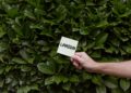 7 Strategies to Optimize Your LinkedIn Algorithm and Boost Engagement