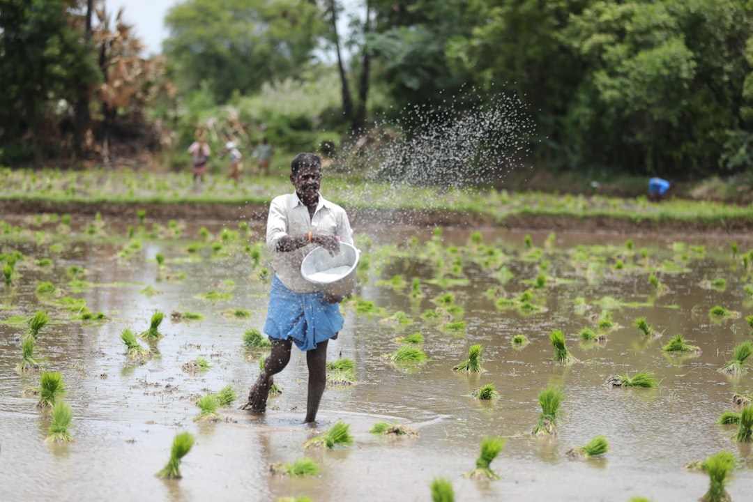 El-Nino, Monsoon Deficits Threaten Growth, Inflation