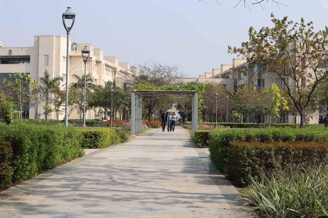 DU's FYUP Fourth Year Faces Low Enrollment Challenge