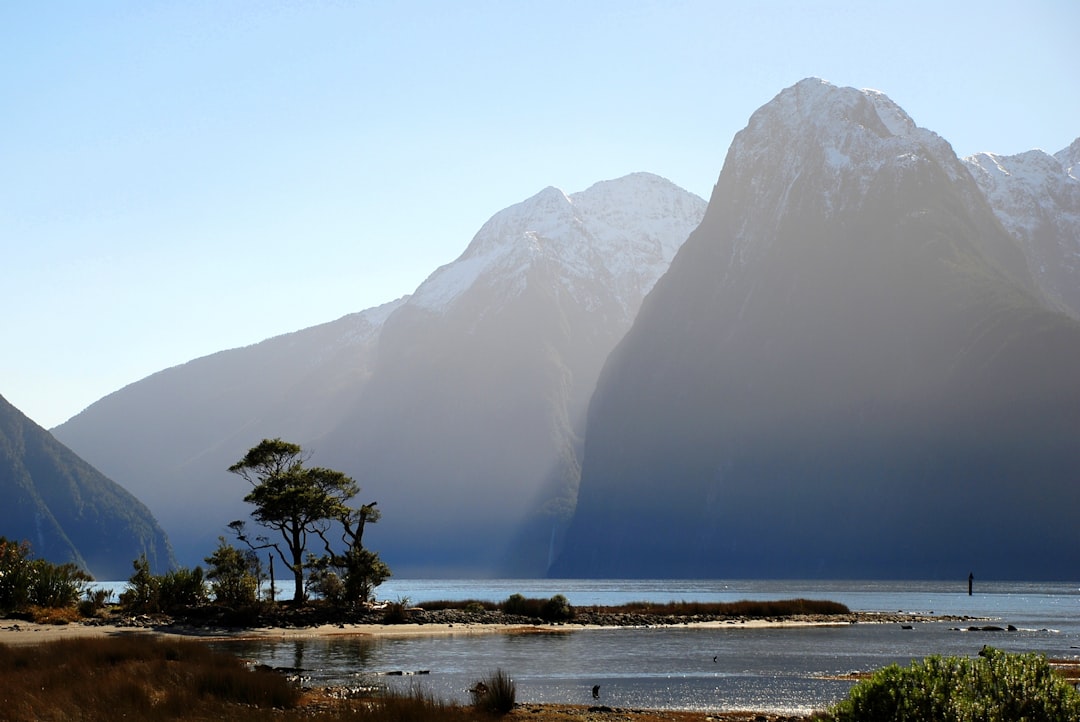 New Zealand Raises Key Rate, Sees Further Unwinding of Stimulus