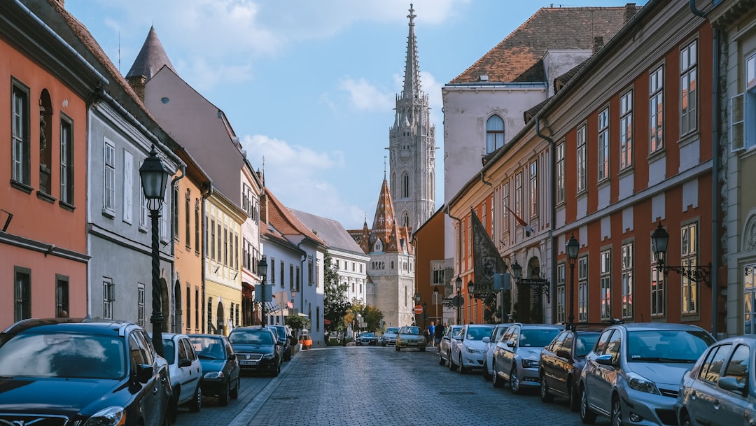 Hungary Crackdown on Billion EV Sector Puts China on Notice