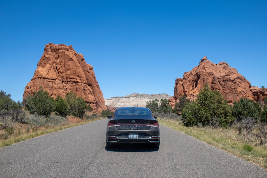 E.V. Collapse Threatens U.S. Auto Industry Stability