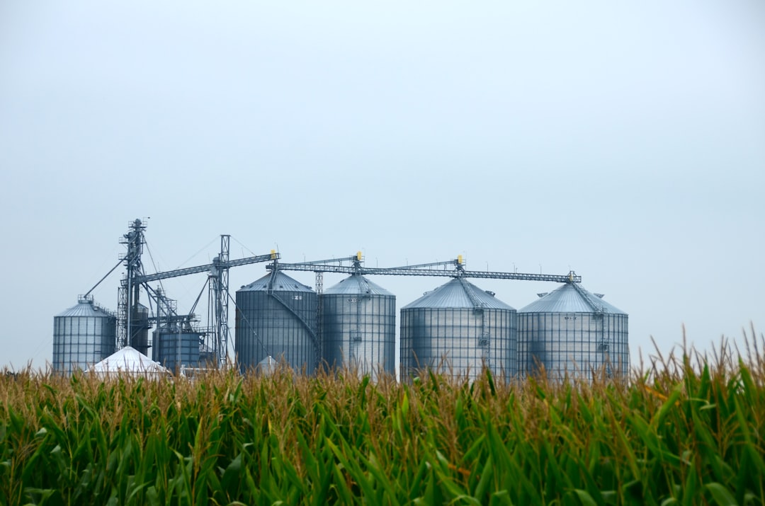 Ethanol surplus fuels export push