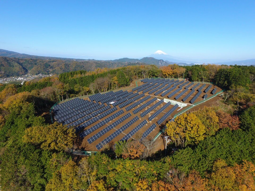 Japan Emerges as Key Player