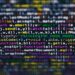 AI decision systems deepen inequality for vulnerable groups