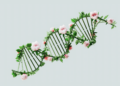 AI Developers Emphasize Bioresilience Risk Management
